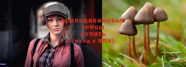 метамфетамин Протвино