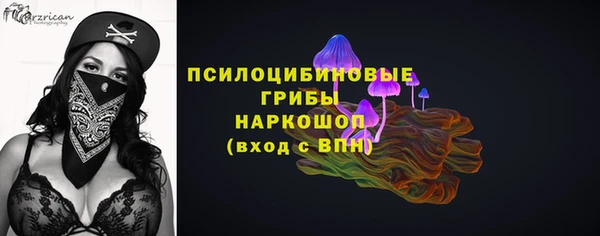 гидра Пролетарск
