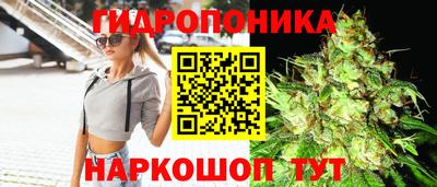 прущие крисы Абакан