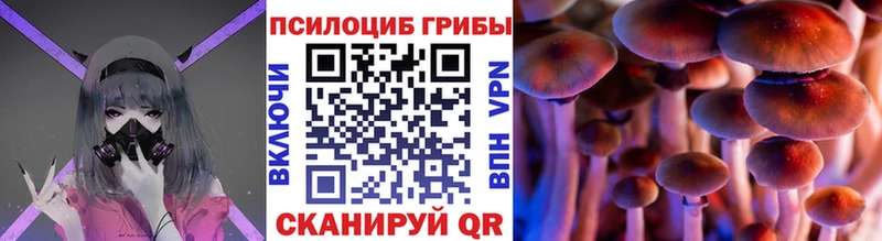 MEGA ссылка  Алатырь  Псилоцибиновые грибы Cubensis 