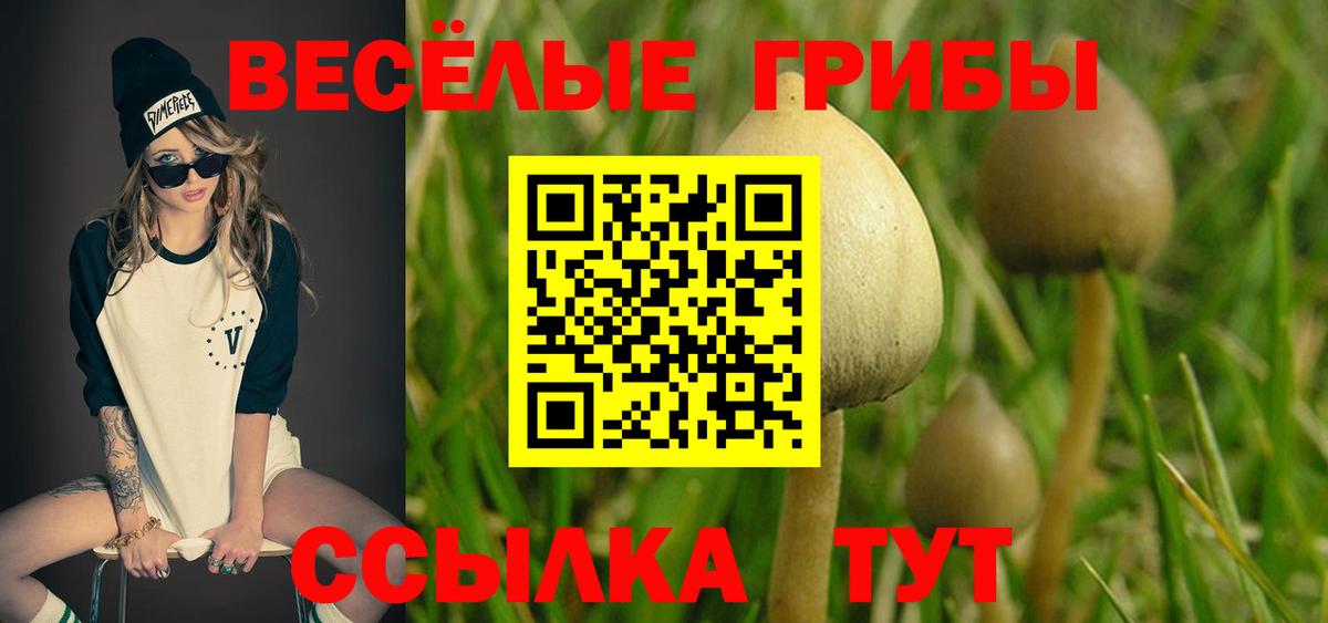 Псилоцибиновые грибы Cubensis Алатырь